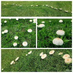 Meet your Poshers' Osh & Nile